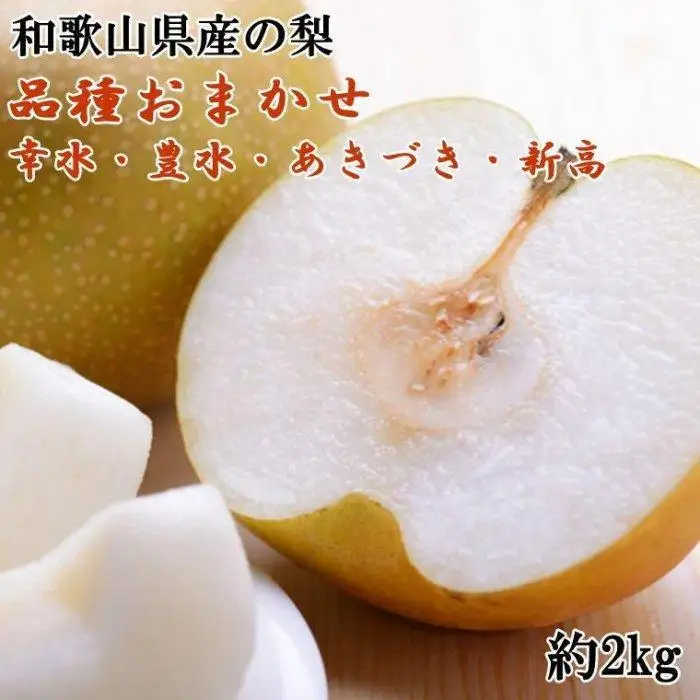 和歌山県産の梨約2kg(品種おまかせ)★2026年8月下旬頃より順次発送【TM181】