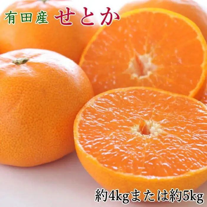 一度は食べていただきたい「有田産のせとか」約4～5kg（サイズおまかせ）★2027年2月中旬頃より順次発送［TM138］