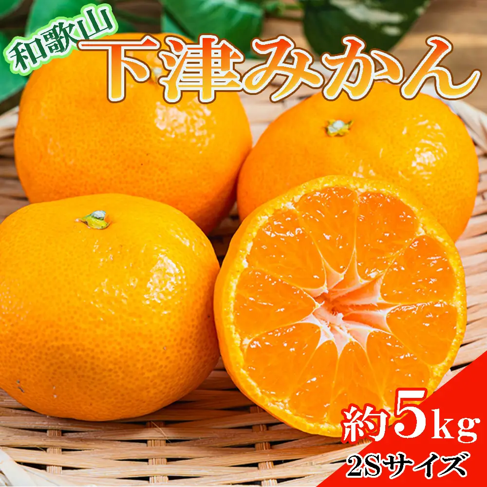 ［産直・秀品］和歌山下津みかん約5kg（2Sサイズ）★2026年11月中旬頃より順次発送［TM72］