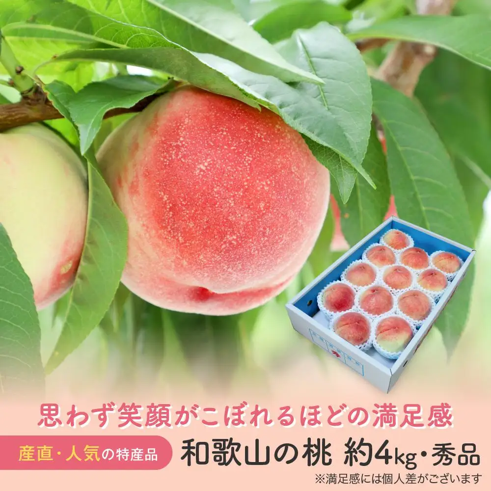 ［農園直送］朝採れ和歌山の桃　約4kg・秀品★2027年6月下旬頃～8月上旬頃順次発送★［TM168］