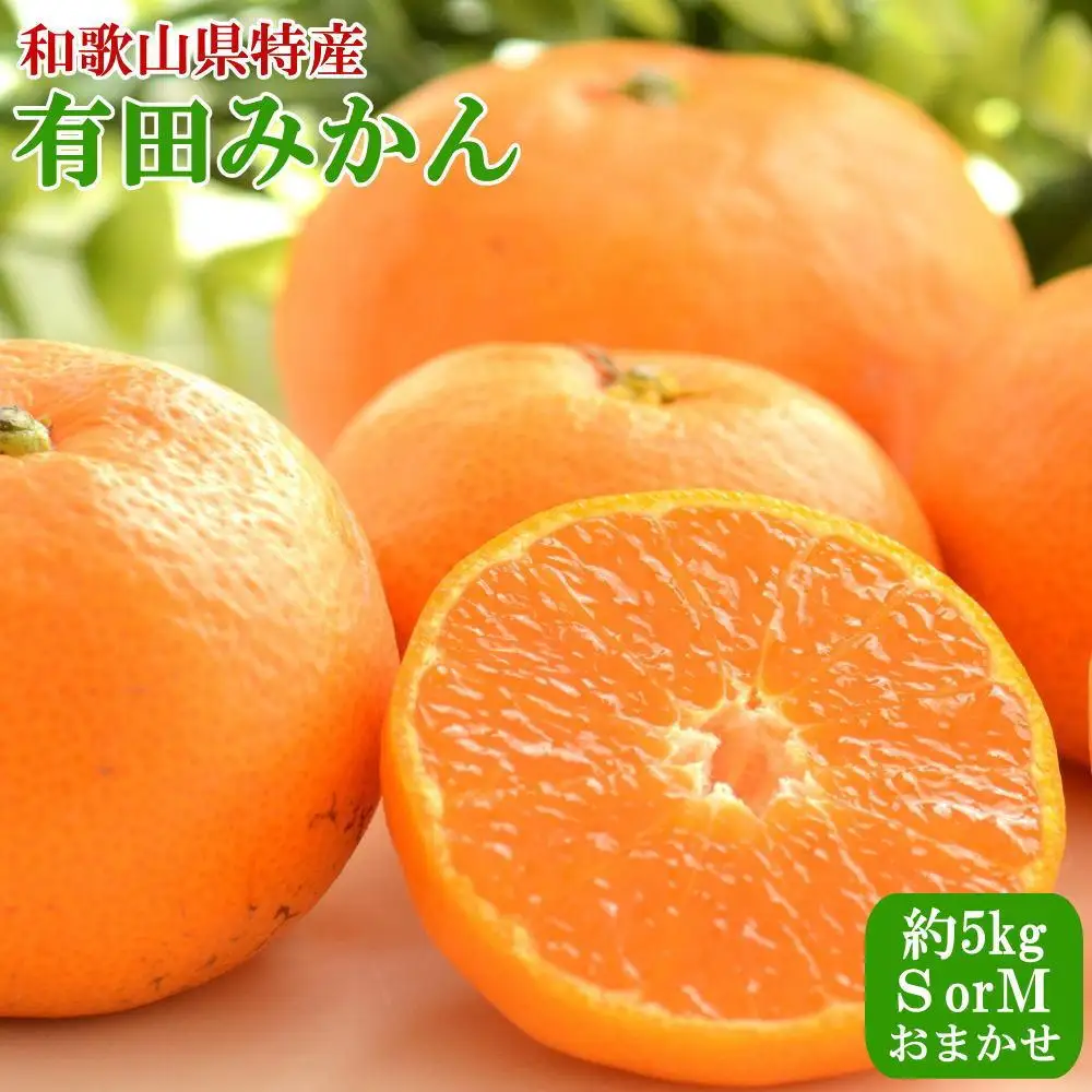[秀品]和歌山有田みかん約5kg(SまたはMサイズ) ★2026年11月中旬頃より順次発送［TM97］
