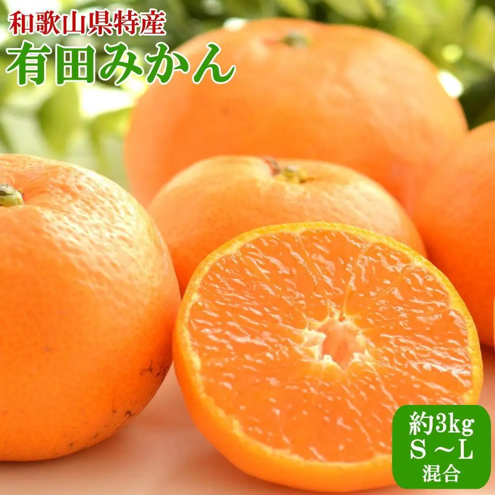 [秀品]和歌山有田みかん約3kg（S～Lサイズ混合）★2026年11月中旬頃より順次発送［TM96］