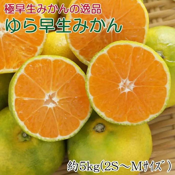 ［極早生みかんの逸品］和歌山県産ゆら早生みかん約5kg★2026年10月中旬頃より順次発送［TM120］