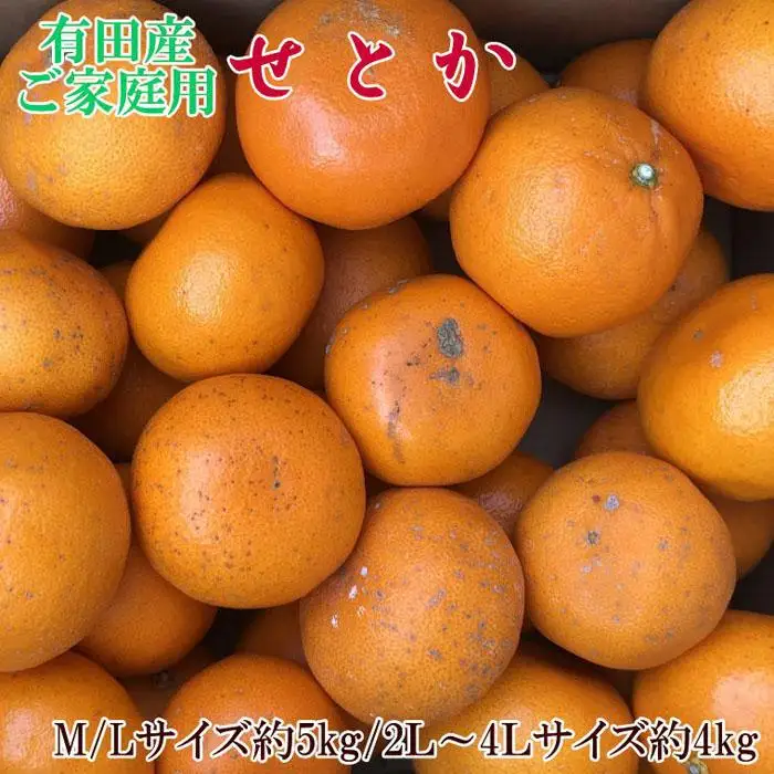 (訳あり・ご家庭用)一度は食べていただきたい「有田産のせとか」約4kg～5kg★2027年2月下旬頃より順次発送［TM210］