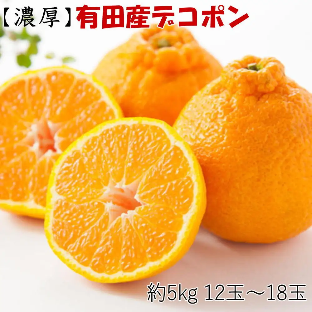 ［お味濃厚］紀州有田産の大玉デコポン約5kg(12玉～18玉入り・青秀以上) ★2027年１月中旬頃より順次発送［TM25］