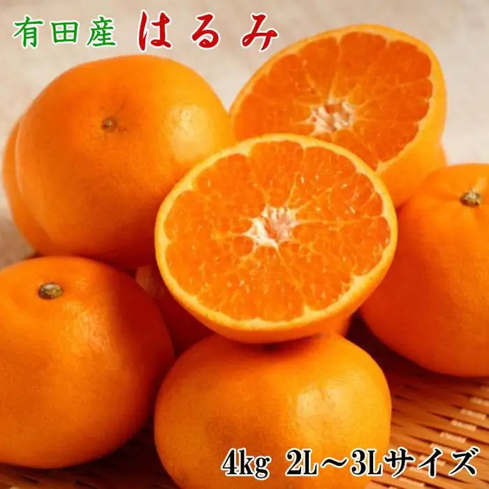 ［厳選・濃厚］紀州有田産のはるみ約4kg(サイズおまかせ) ★2027年1月下旬頃より順次発送［TM27］
