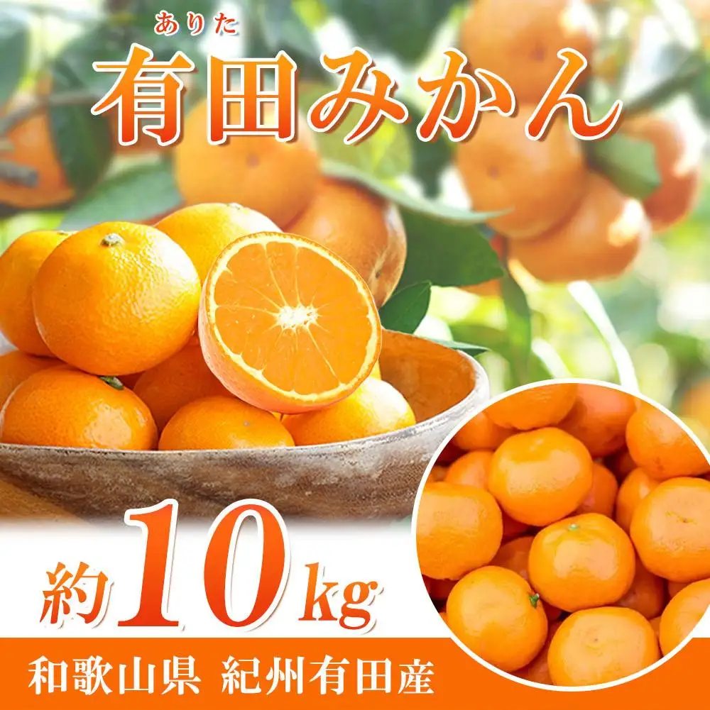完熟有田みかん　10kg［2026年11月下旬以降発送］［先行予約］［UT11］