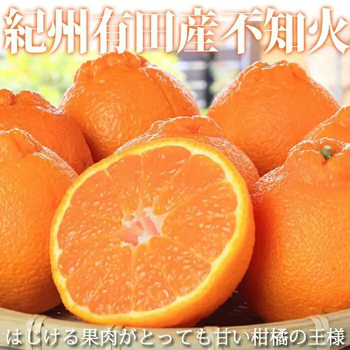 紀州有田産不知火(しらぬひ) 約５kg［2027年2月中旬以降発送］［先行予約］［UT40］