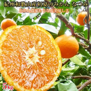 初夏のみかん なつみ 5kg［先行予約］［2027年4月中旬より発送］［UT57］