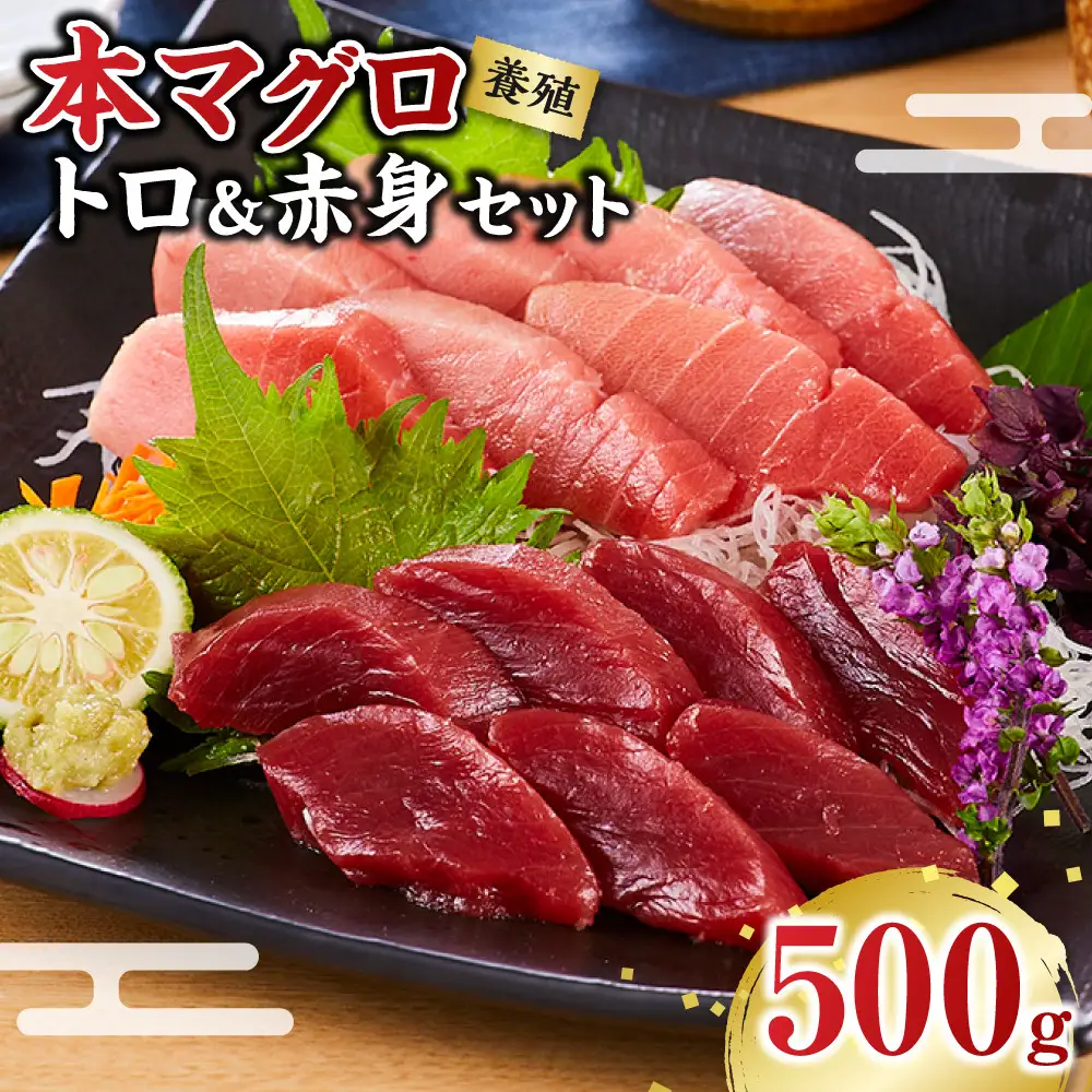 本マグロ（養殖）トロ＆赤身セット 500g［KS12］