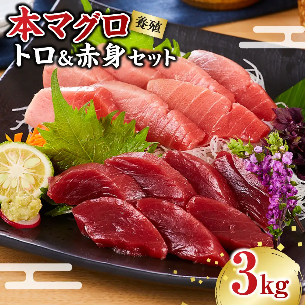 本マグロ（養殖）トロ＆赤身セット 3kg［KS14］