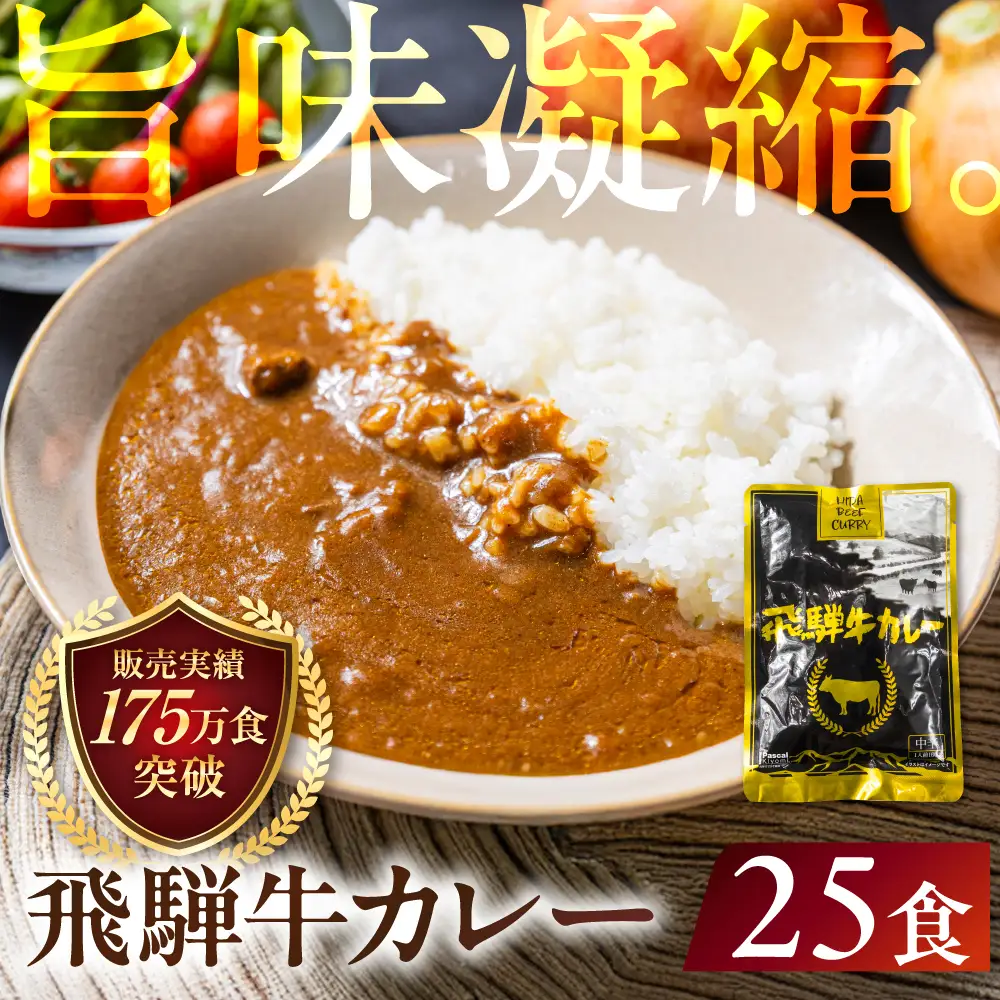 飛騨牛カレー（160ｇ×25袋） | 訳あり ご当地 ビーフカレー レトルト 人気 飛騨高山 DC008VC13