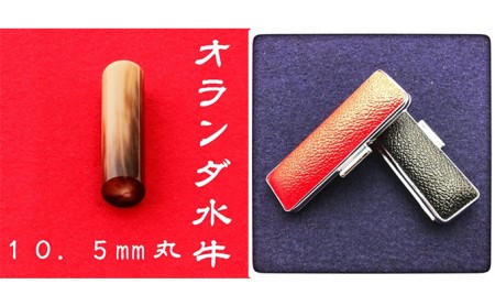 オランダ水牛10.5mm（5書体）牛革ケース（黒） 民芸品 工芸品  こいんたい