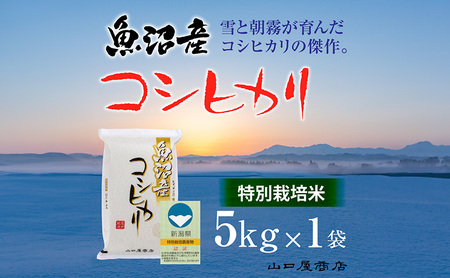 【厳選☆十日町育ち】“特別栽培米” 魚沼産コシヒカリ 5kg お米 コメ 