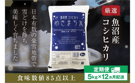 【定期便／12ヶ月】ゆきまち米5kg 極上魚沼産コシヒカリ お米 こしひかり 魚沼産こしひかり