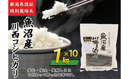 魚沼産川西こしひかり1kg×10