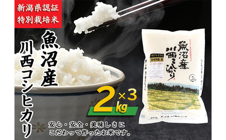 魚沼産川西こしひかり2kg×3