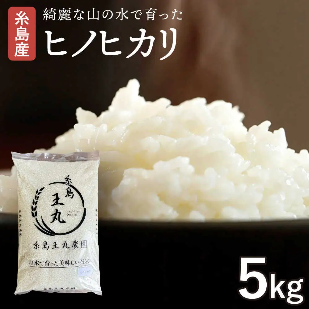 糸島産 ヒノヒカリ 5kg 糸島市 / 糸島王丸農園　( 谷口汰一 )【いとしまごころ】 [AAZ010]