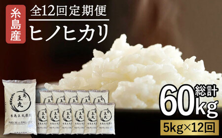 【全12回定期便】糸島産 ヒノヒカリ 5kg×12回  糸島市 / 糸島王丸農園 ( 谷口汰一 )【いとしまごころ】 [AAZ013]