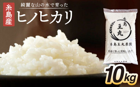糸島産 ヒノヒカリ 10kg  糸島市 / 糸島王丸農園 ( 谷口汰一 )【いとしまごころ】 [AAZ014]