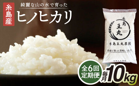【全6回定期便】糸島産 ヒノヒカリ 10kg×6回 糸島市 / 糸島王丸農園 ( 谷口汰一 )【いとしまごころ】 [AAZ016]