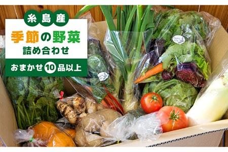 糸島産 季節 の 野菜 詰め合わせ （ おまかせ 10品 以上 ）《糸島》【ひめしま渡船直売所】 [ANJ001]