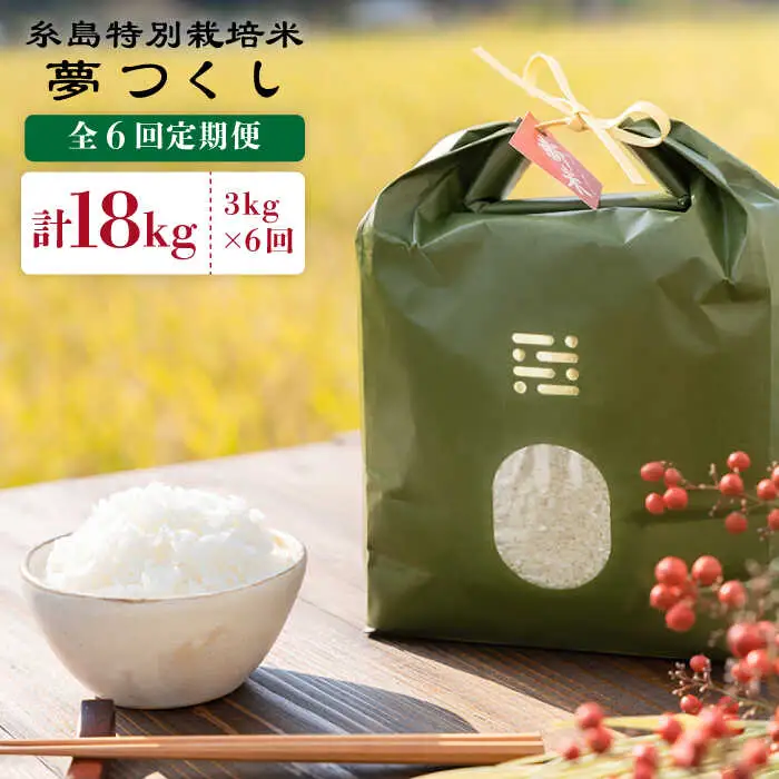 【 6回 定期便 】 とくべつ の中の とくべつ 糸島 特別栽培米 3kg （ 夢つくし ）《 糸島 》【株式会社やました】 [ARJ004]