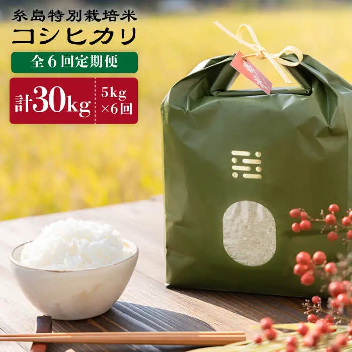 【 6回 定期便 】 とくべつ の中の とくべつ 糸島 特別栽培米 5kg （ コシヒカリ ）《 糸島 》【株式会社やました】 [ARJ006]
