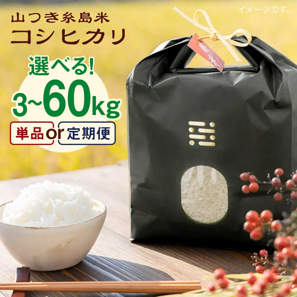【お中元対象】糸島 で 農薬 を使わずに育てた 山つき 糸島米 3kg （ コシヒカリ ）《 糸島 》【株式会社やました】 [ARJ009]