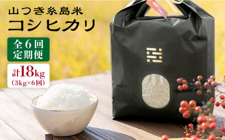 【 6回 定期便 】 糸島 で 農薬 を使わずに育てた山つき 糸島米 3kg （ コシヒカリ ）《 糸島 》【株式会社やました】 [ARJ013]