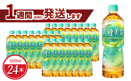 爽健美茶 PET 600ml（24本入） ノンカフェイン  ブレンド茶 植物の恵み 水分補給 人気 コカ・コーラ BB-0003