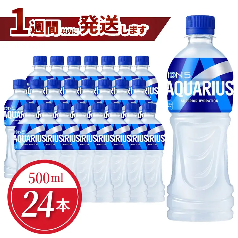 アクエリアス 500mlPET（24本入）コカ･コーラ スポーツ飲料 熱中症対策  コカ・コーラ BB-0001