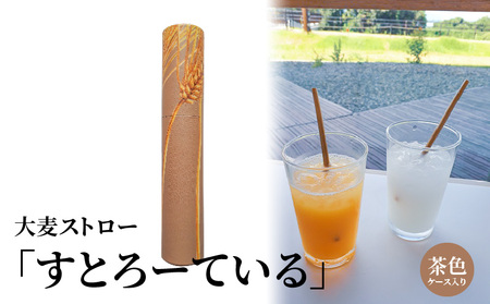 大麦ストロー「すとろーている」、ケース入り茶色 天然素材 エコ ストロー 大麦 すとろーている 20本 ケース入り 選べる 栽培期間中農薬不使用 SDGs 土に還る 脱プラ 脱プラスチック インテリア おしゃれ 環境保全 人気 自然 CC-0002_1