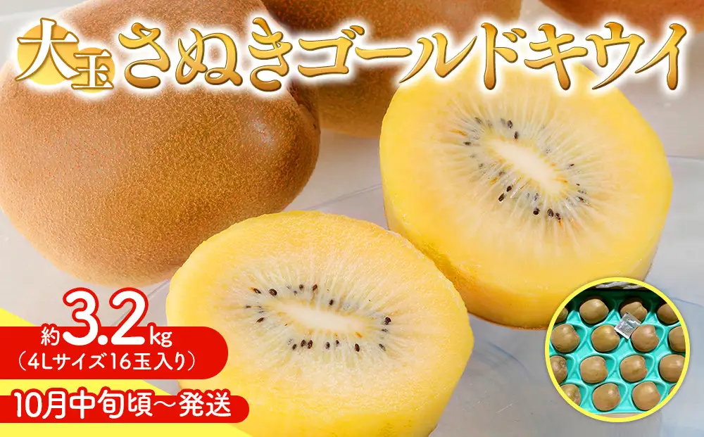 さぬきゴールド キウイ 大玉 約 3.2kg キウイフルーツ 【10月中旬頃～発送】
