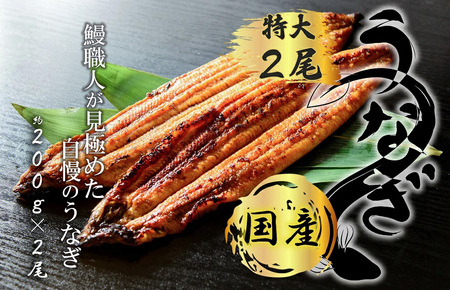 FK014_ 九州産　鰻職人が見極めた自慢のうなぎ　蒲焼　国産　有頭鰻 1尾あたり約200ｇ×2尾（合計約400ｇ以上）たれ・山椒セット うなぎ 国産うなぎ うなぎのかば焼き 九州産うなぎ