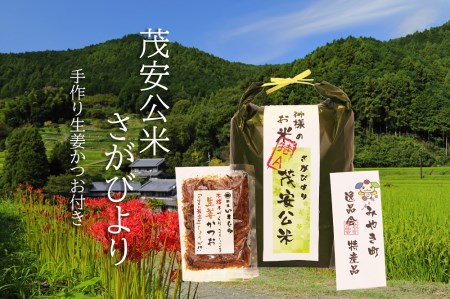 BF030_【令和7年度産新米】茂安公米5kg・みやき町産さがびより 生姜かつお（60ｇ）セット【2025年10月中旬過ぎより順次発送】