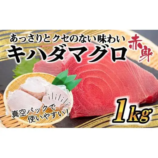 【 マグロ 】 キハダマグロ 訳あり 1kg