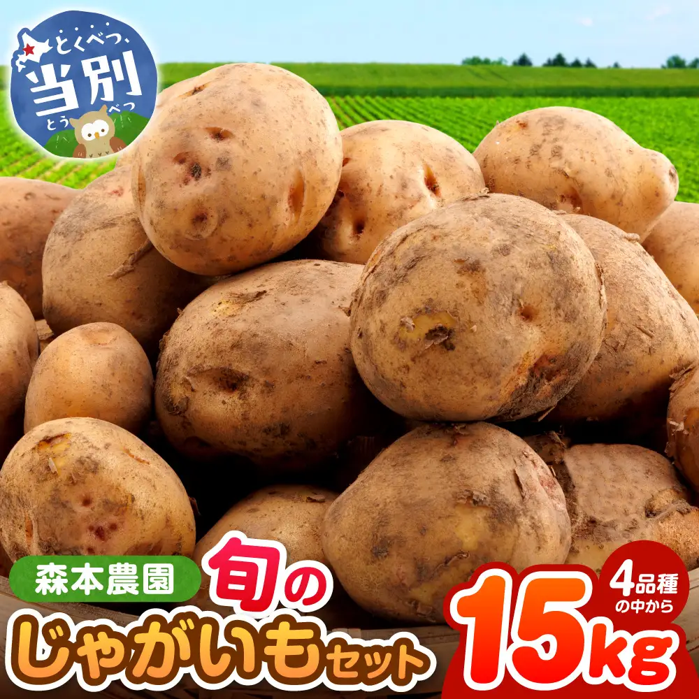 【2026年先行予約】森本農園じゃがいも15kgセット | じゃがいも ジャガイモ 男爵じゃがいも キタアカリ とうや メークイン じゃがいも