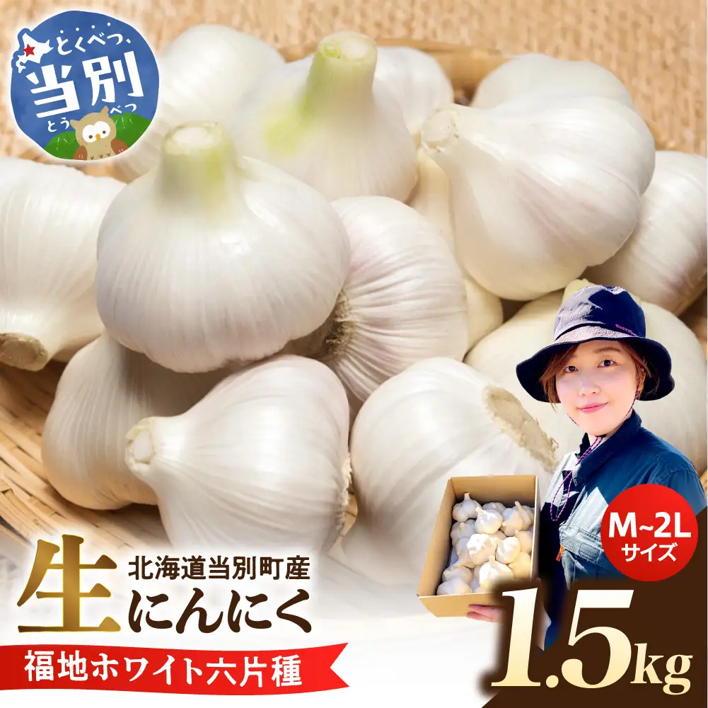 【令和9年度先行受付】生にんにく（福地ホワイト六片種）1.5kg（15個～25個程度）