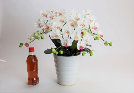 綺麗で丈夫な三河陶器で贈る 光触媒胡蝶蘭小輪３本立（白の陶器×白桃色の花） H100-083