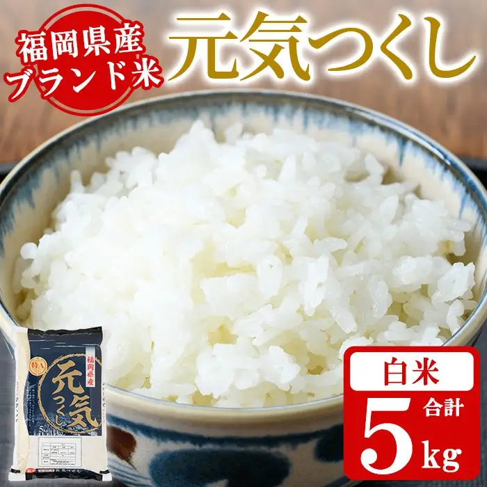 《白米》福岡県産ブランド米「元気つくし」(5kg) 白米 米 お米 おこめ ごはん げんきつくし ご飯 常温 福岡県産 ブランド米 常温 常温保存 おにぎり おむすび お弁当 ライス【朝ごはん本舗】as05-054
