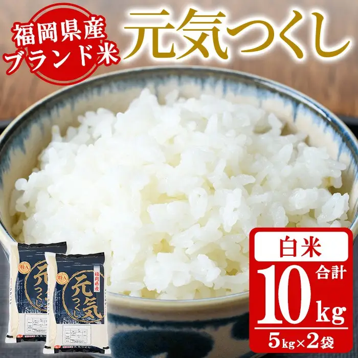 《白米》福岡県産ブランド米「元気つくし」(計10kg・5kg×2袋) 白米 米 お米 おこめ ごはん げんきつくし ご飯 常温 福岡県産 ブランド米 常温 常温保存 おにぎり おむすび お弁当 ライス【朝ごはん本舗】as05-055 