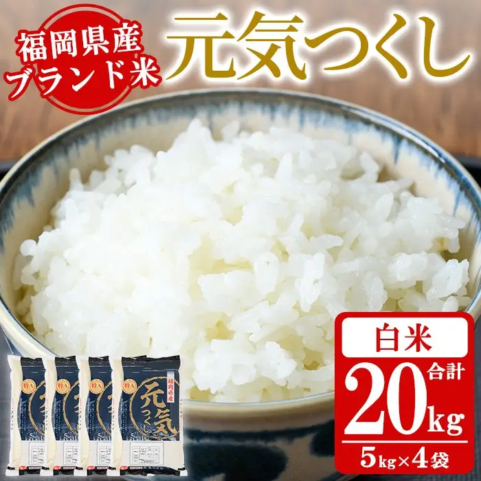 《白米》福岡県産ブランド米「元気つくし」(計20kg・5kg×4袋) 白米 米 お米 おこめ ごはん げんきつくし ご飯 常温 福岡県産 ブランド米 常温 常温保存 おにぎり おむすび お弁当 ライス【朝ごはん本舗】as05-056