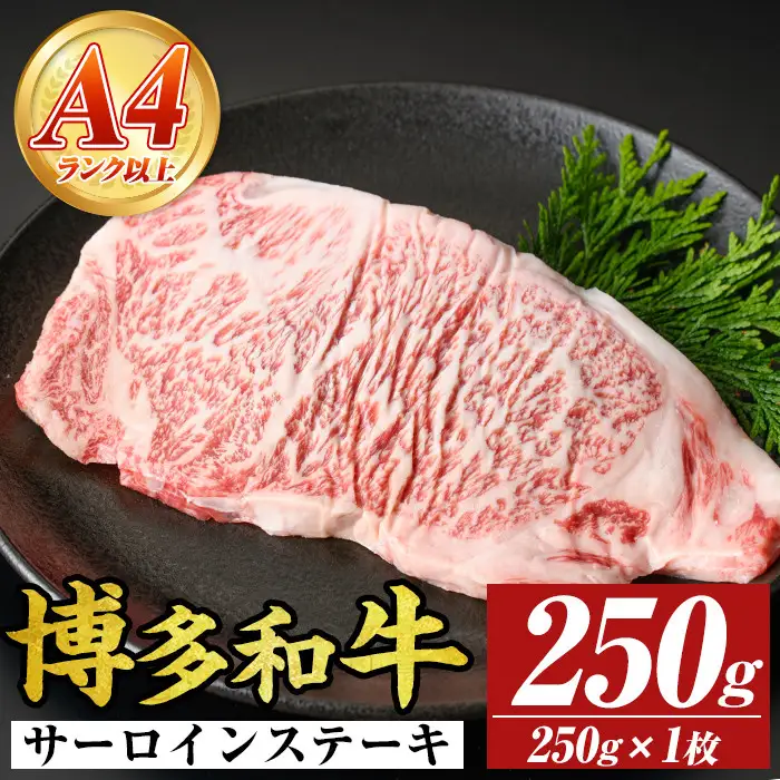 【A4～A5】博多和牛サーロインステーキセット(250g×1枚) 国産 九州産 福岡県産 牛肉 和牛 黒毛和牛 ステーキ お肉【MEAT PLUS】as08-004