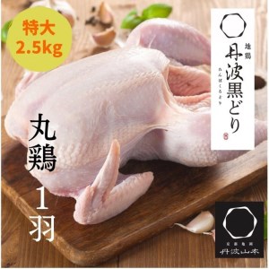 鶏肉 訳あり 地鶏丹波黒どり 丸どり 中抜き 丸1羽 約2.5kg 京都亀岡丹波山本 鶏肉 国産鶏肉 京都産鶏肉 亀岡産鶏肉 鶏肉