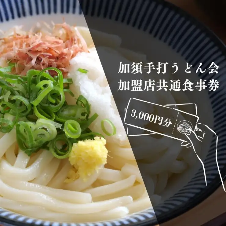 A-12 加須手打うどん会加盟店共通食事券3,000円分　うどん