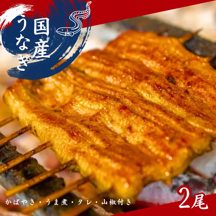 加須の名店うなぎ荒川の『国産うなぎ蒲焼 ２尾と鯉のうま煮』 滋養食セット 鰻 