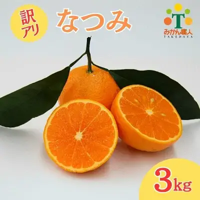 【先行予約】訳あり みかん職人の なつみ 3kg 柑橘 フルーツ 果物 みかん職人 果物 オレンジ フルーツ 柑橘 みかん 愛媛県 愛南町 みかん職人武田屋