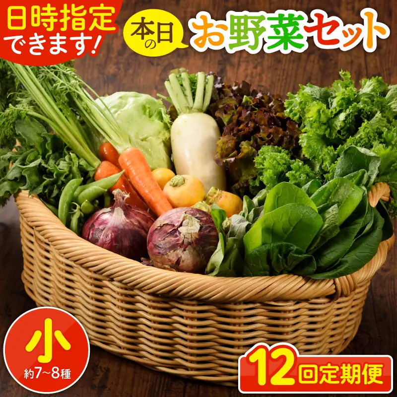【12回定期便】日時指定OK！本日のお野菜セット （小サイズ/約8～10種） / 野菜 有機栽培 産地直送 新鮮 旬 詰め合わせ きのこ類 やさい 送料無料 【オーガニックのまち 宮崎県綾町】_A0053-004