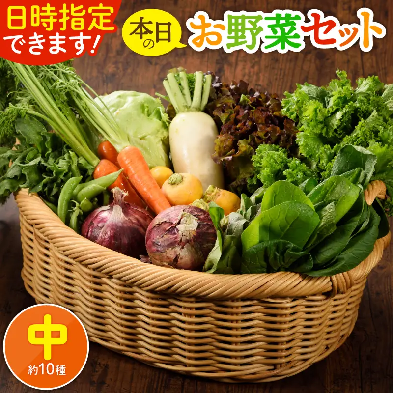 日時指定OK！本日のお野菜セット （中サイズ/約11～13種） /  野菜 有機栽培 産地直送 新鮮 旬 詰め合わせ 宮崎県綾町_A0053-005